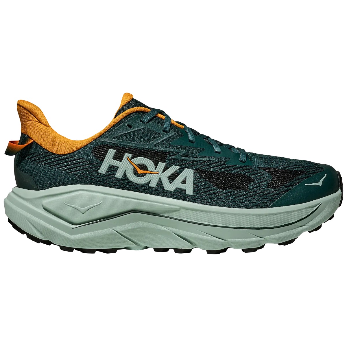 Pantofi alergare trail barbati Asics Trabuco MAX 3 FW 2024