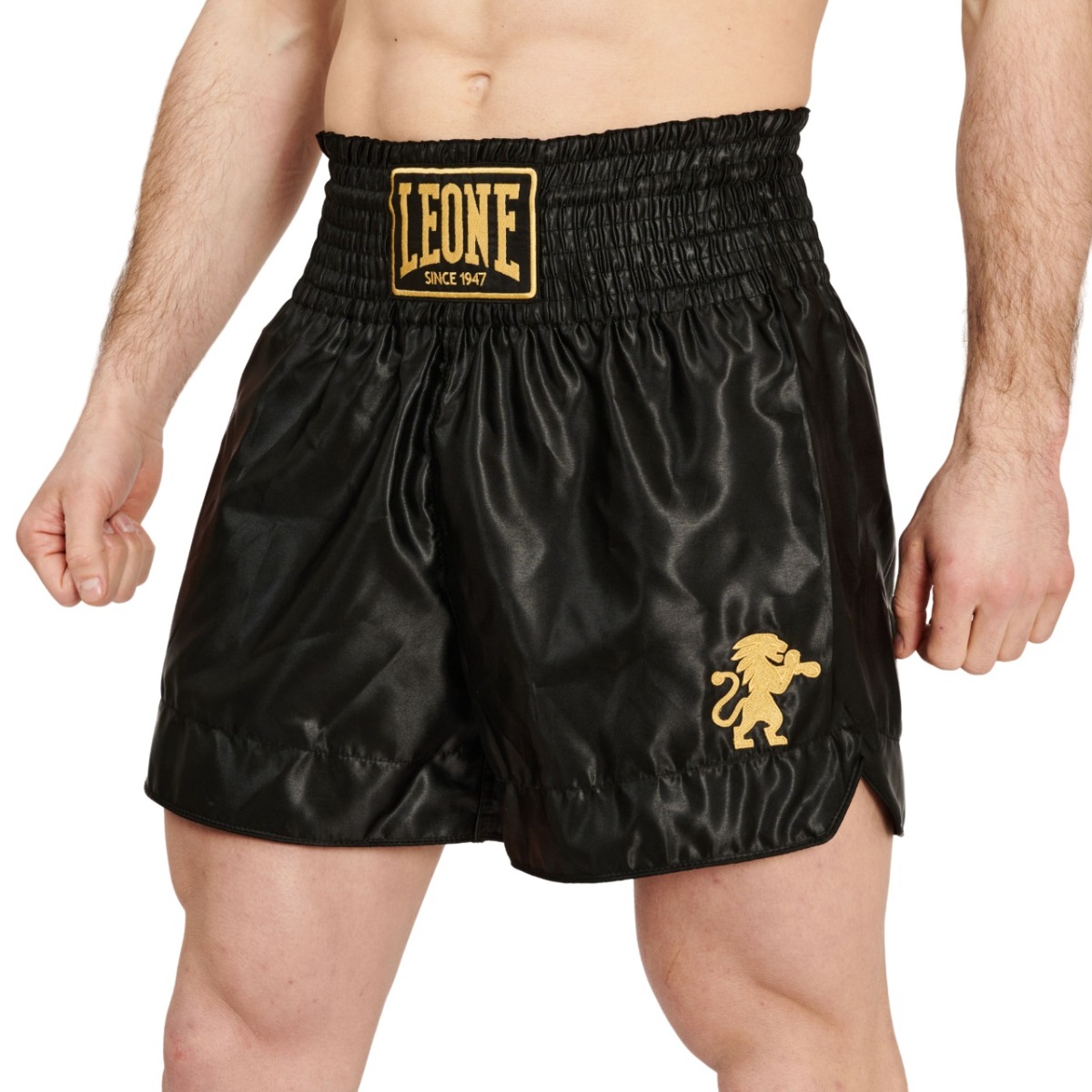 Sort Muay Thai Leone Kick Basic 2