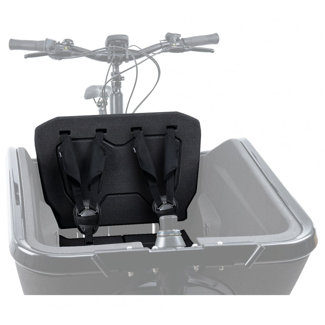 Scaun Portbagaj Copii Cube Cargo 2.0 Negru