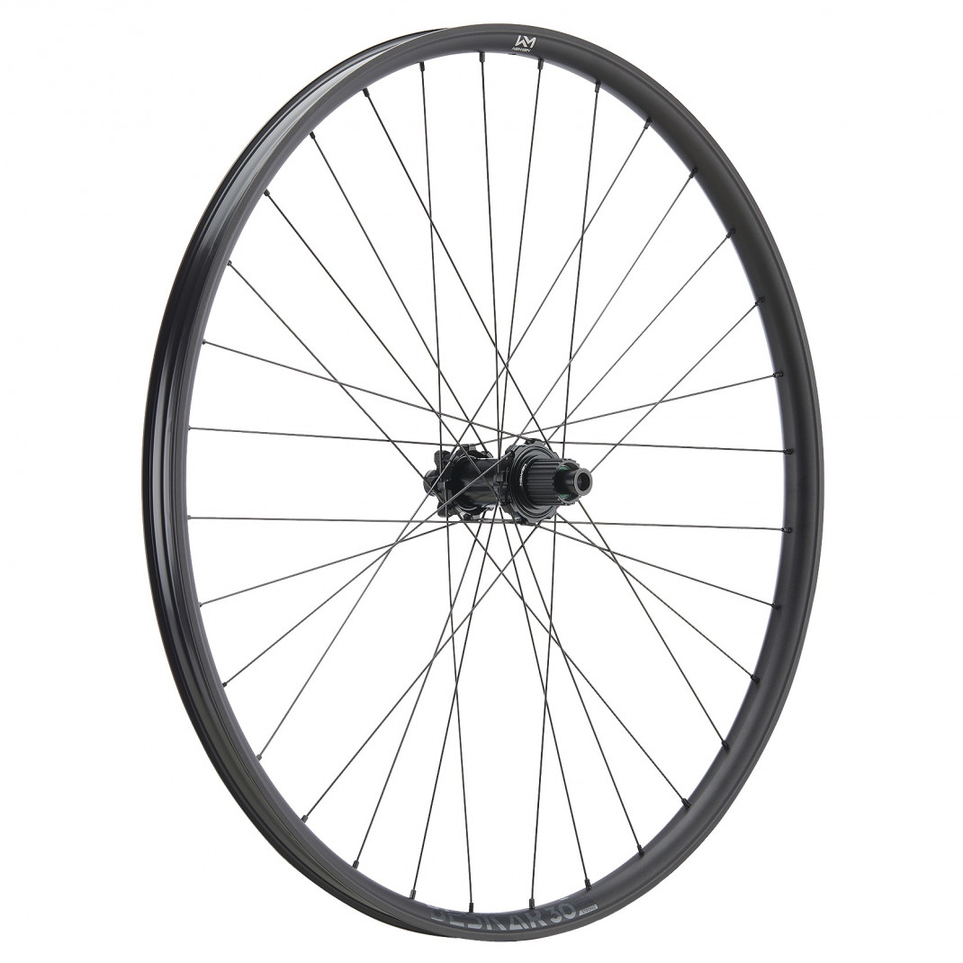 Roata Spate Newmen Beskar 30 Strong 29Inch 32H Fade Sp 6B 12X148