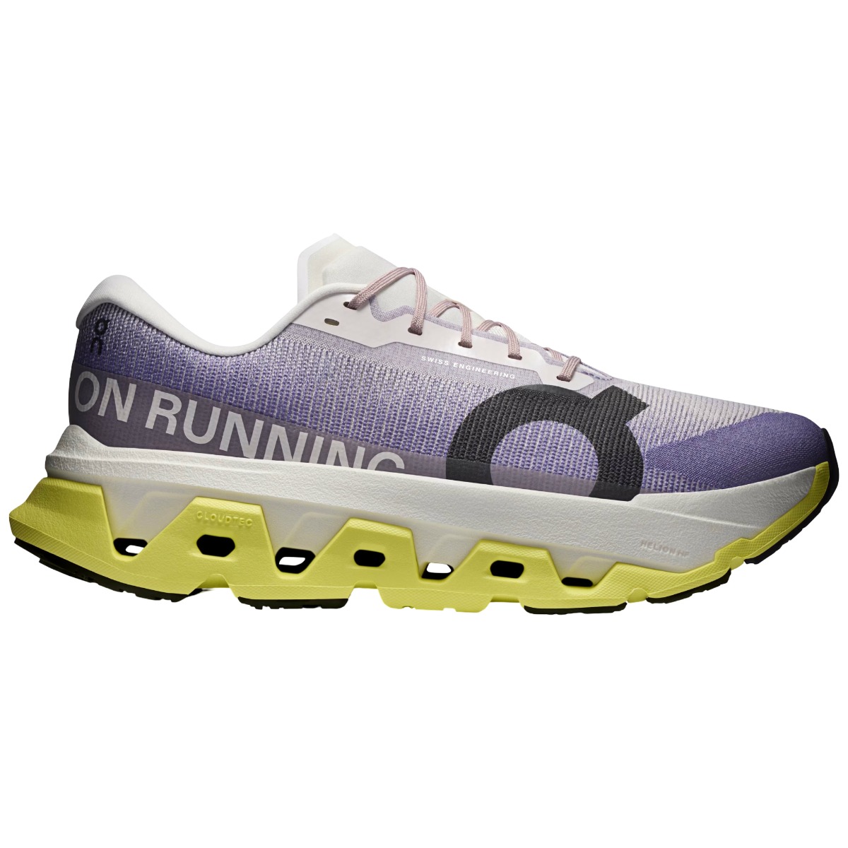 Pantofi alergare trail barbati Mizuno Wave Rider GTX 2 FW 2024
