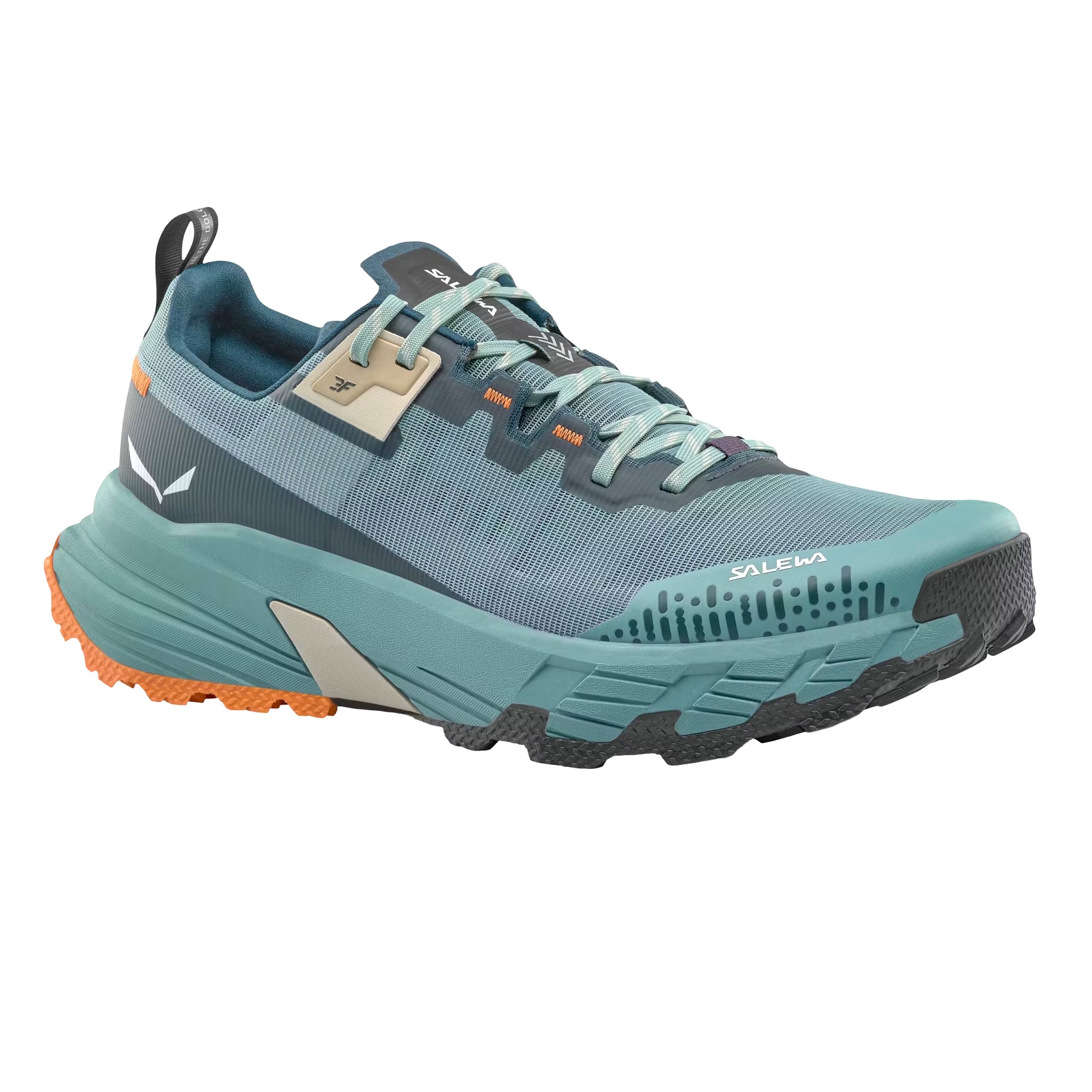 Pantofi trekking barbati Salewa Pedroc 2 Max-Turcoaz/Negru-44