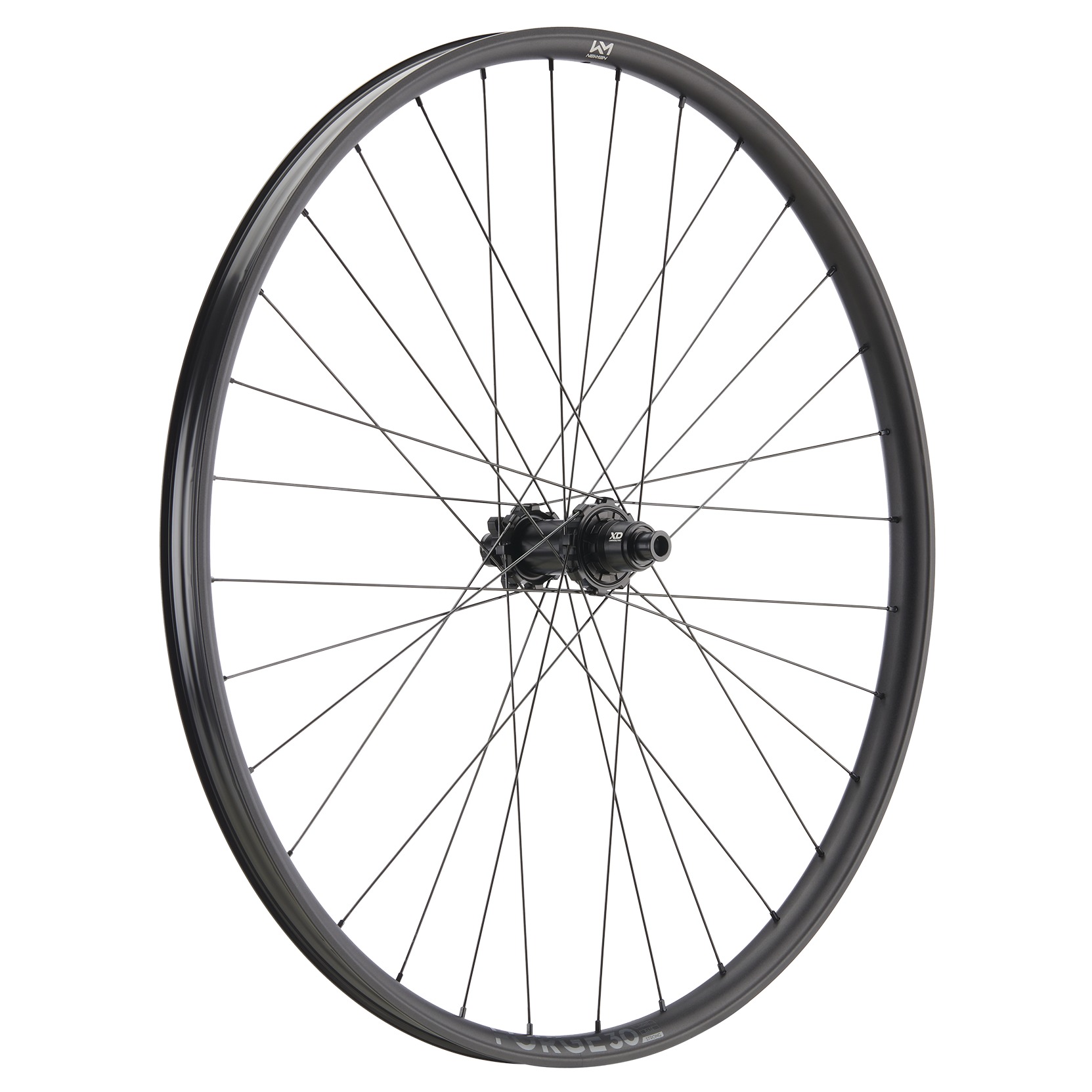 Roata Spate Newmen Forge 30 Strong 29Inch 32H Fade Sp 6B 12X148-HG