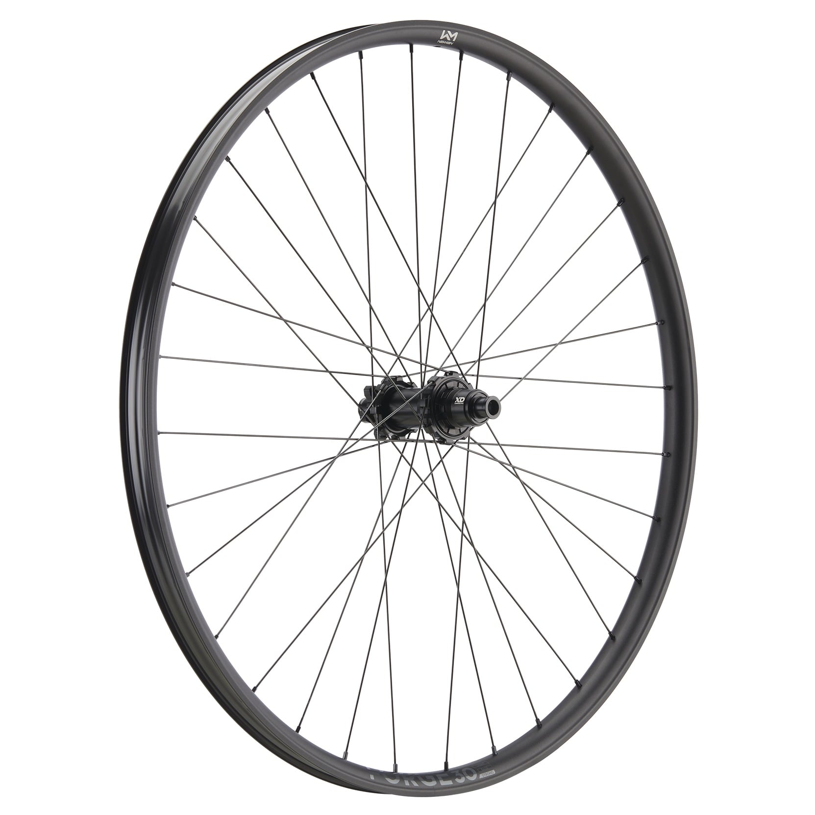 Roata Spate Newmen Forge 30 Strong 29Inch 32H Fade Sp 6B 12X157-HG