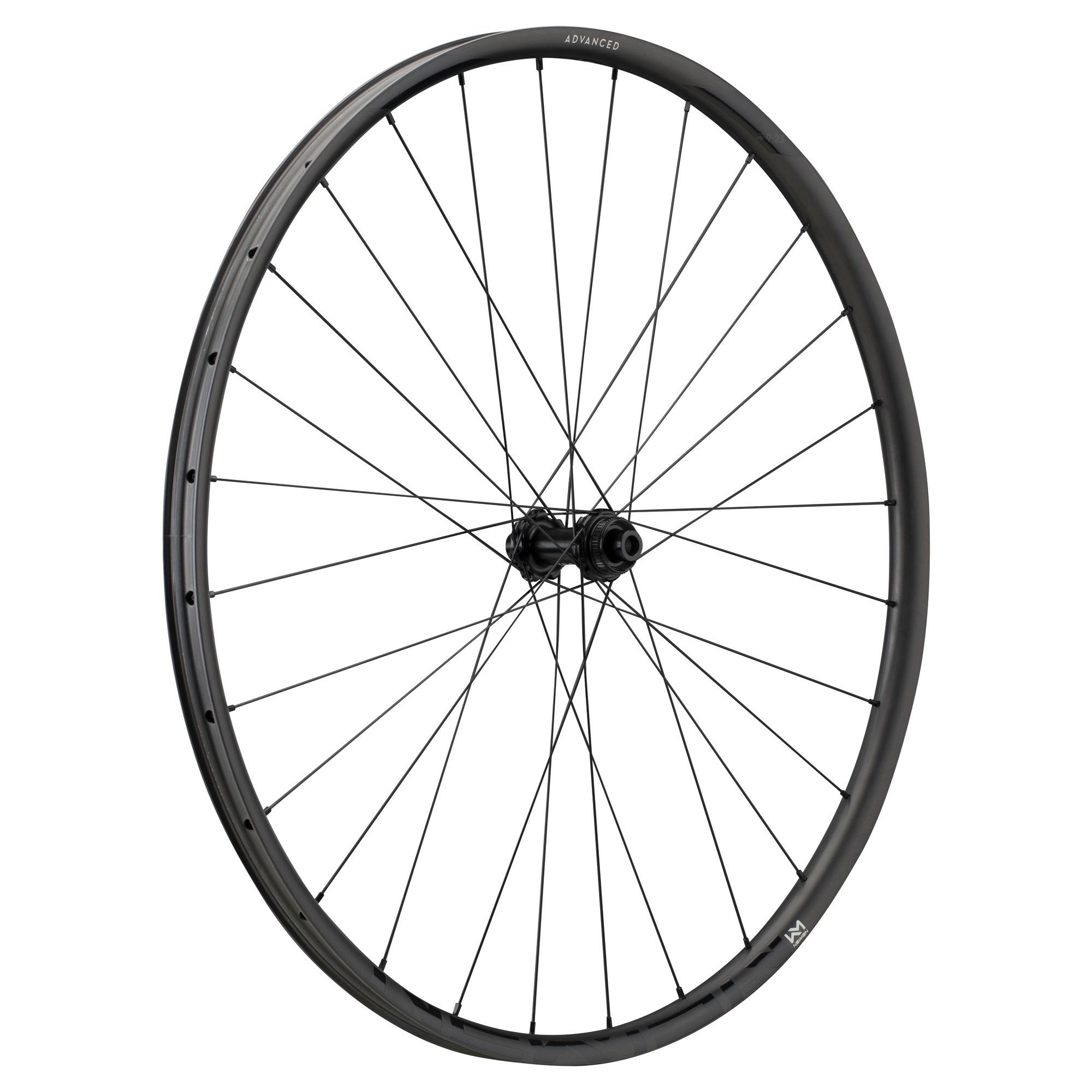 Roata Fata Newmen Advanced Sl X.R.25 29Inch 28H Fade R Sp Cl 12X100 29Inch