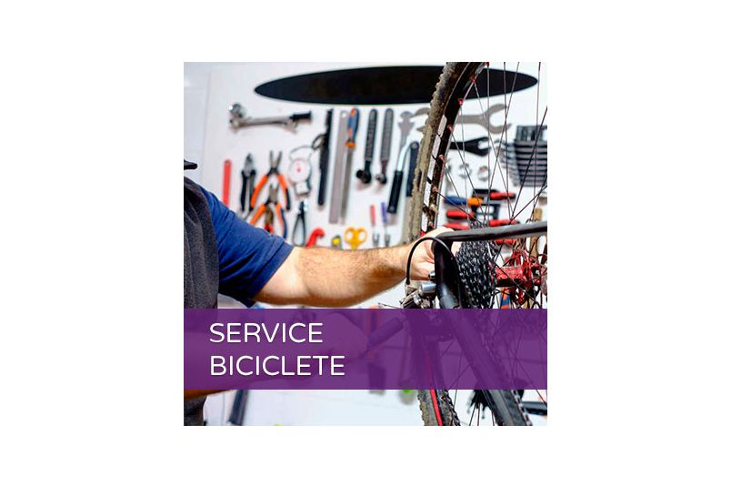 Serviciu revizie de baza bicicleta
