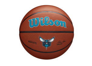 Minge baschet Wilson NBA Team Alliance Charlotte Hornets