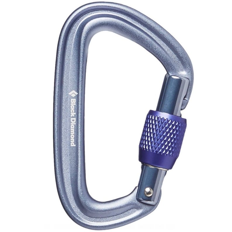 Carabiniera cu filet Black Diamond Liteforge-Argintiu