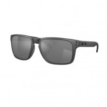 Ochelari de soare Oakley Holbrook XL Steel / Prizm Black Polarized