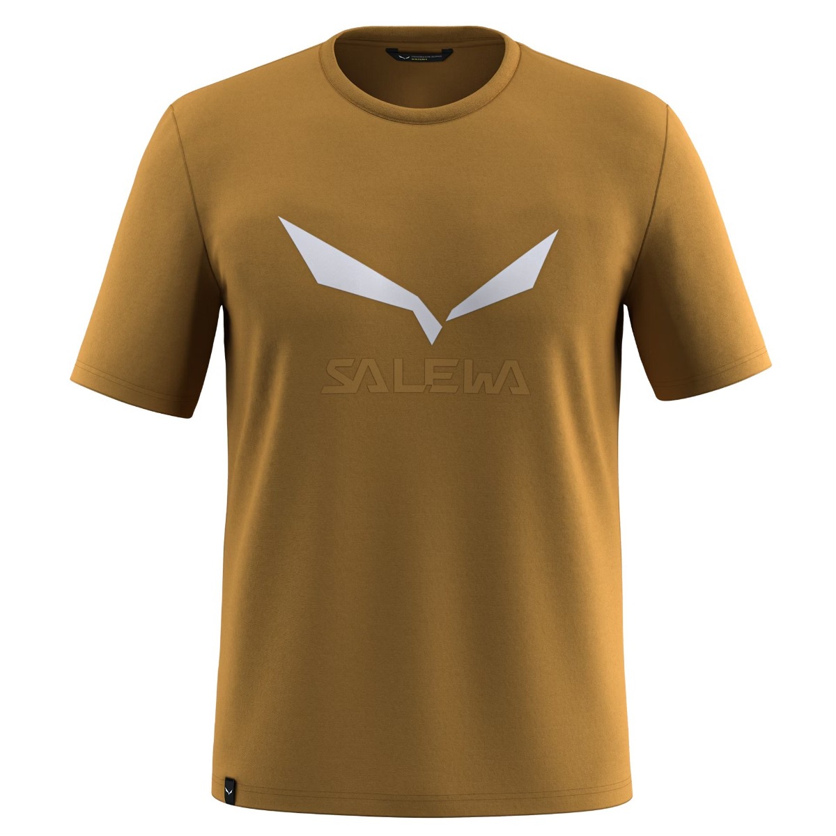Tricou tehnic barbati Salewa Solidlogo Dri-Release