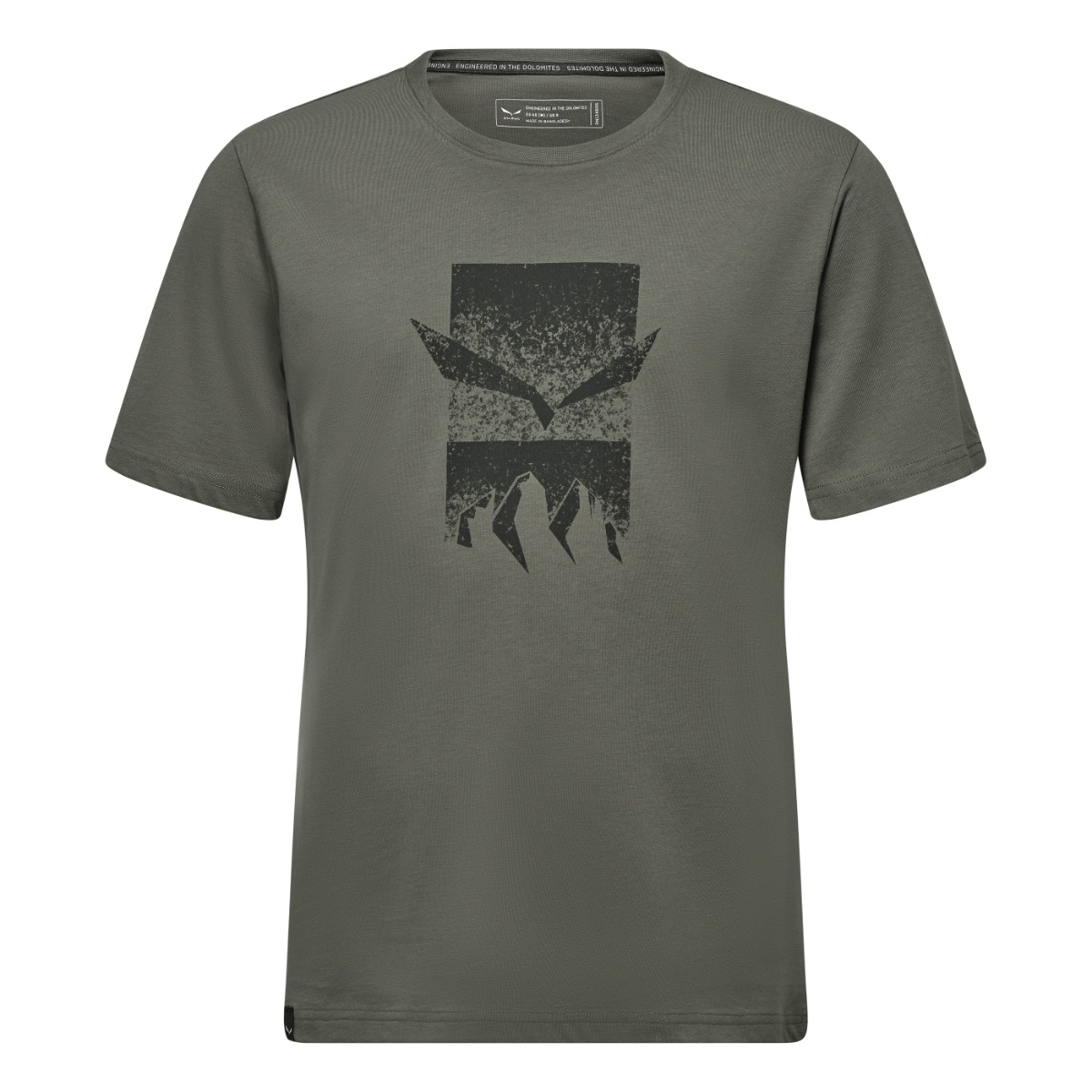 Tricou tehnic barbati Salewa Eagle 3 Cime
