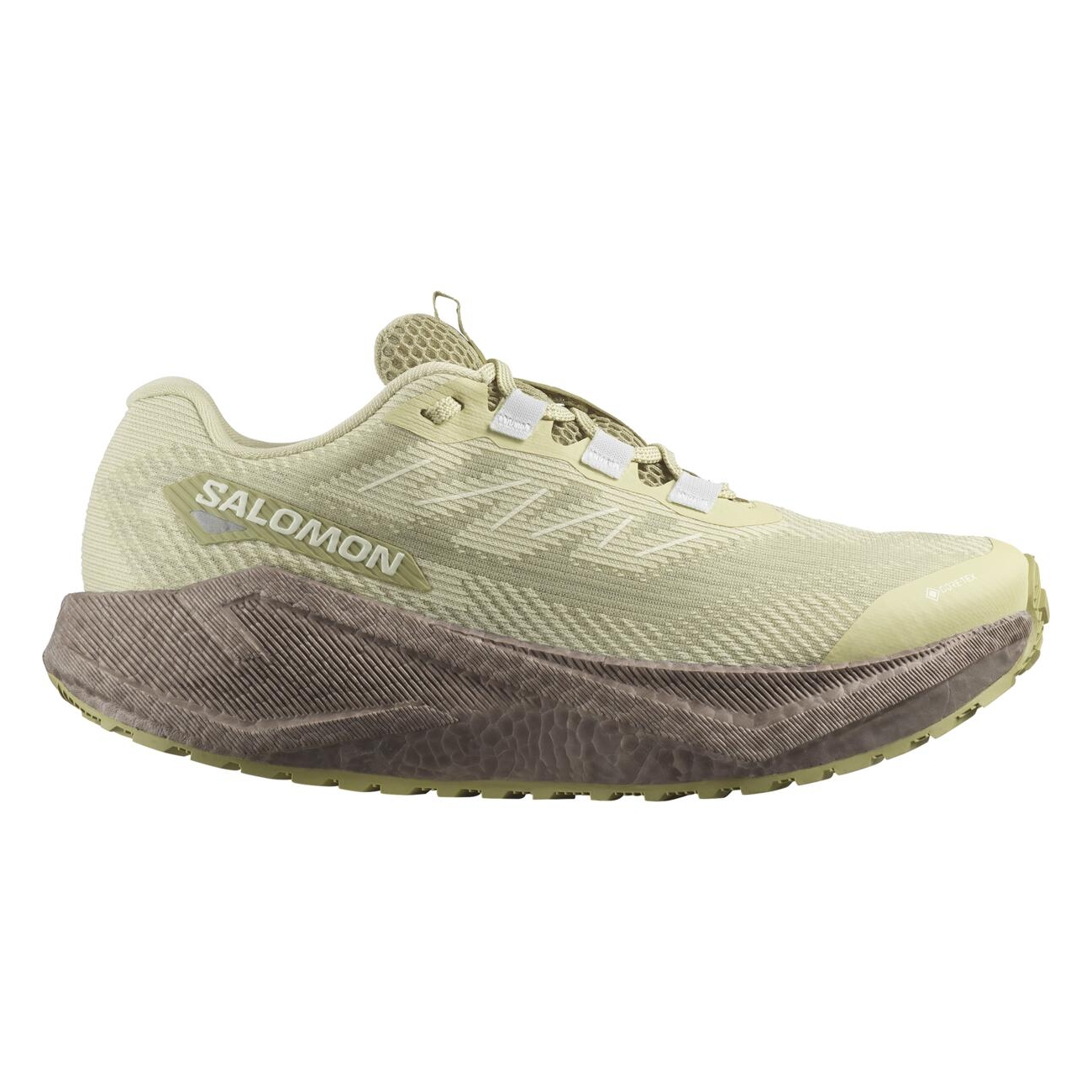 Pantofi alergare trail dama Salomon Aero Blaze 3 GRVL GTX FW 2025