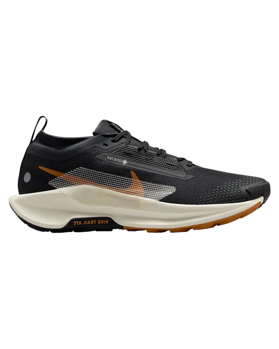 Pantofi alergare trail barbati Nike Pegasus Trail 5 GTX SS 2025 V2
