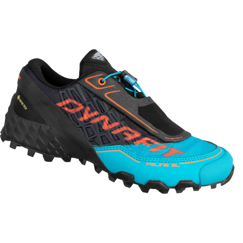 Pantofi alergare trail dama Dynafit Feline SL GTX-36 1/2-Negru/Albastru