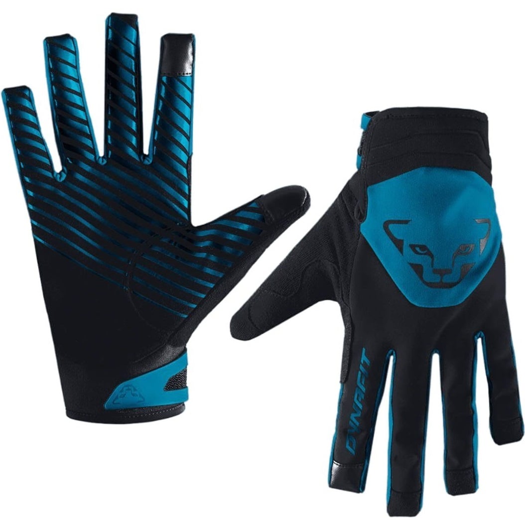 Manusi schi Dynafit Radical 2 Softshell-Albastru-S