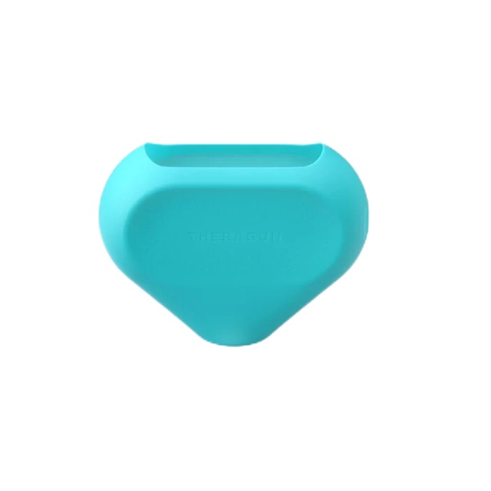 Husa Theragun Mini