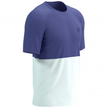 Tricou alergare barbati Compressport Performance SS 2026