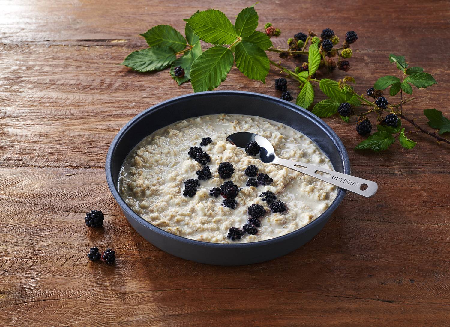 Mancare deshidratata liofilizata Trek'N Eat Terci proteic de ovaz, 150g