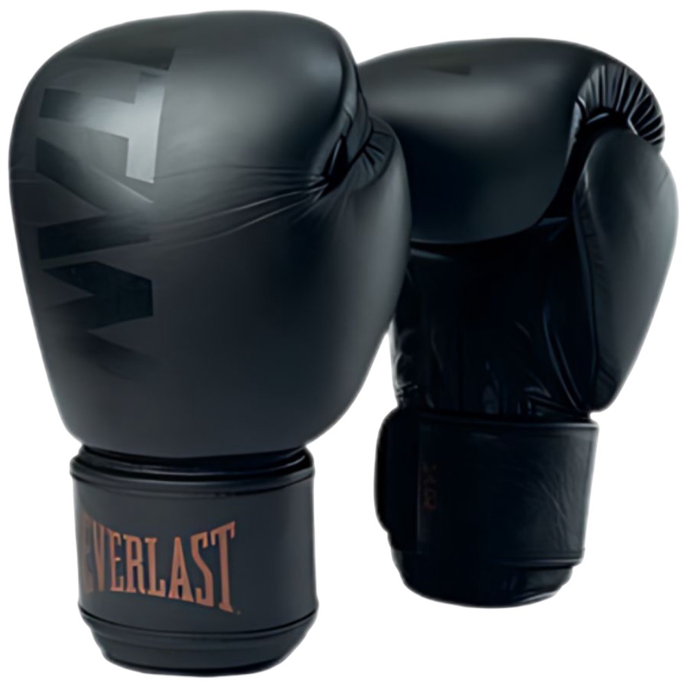 Manusi box Everlast Titan Muay Thai