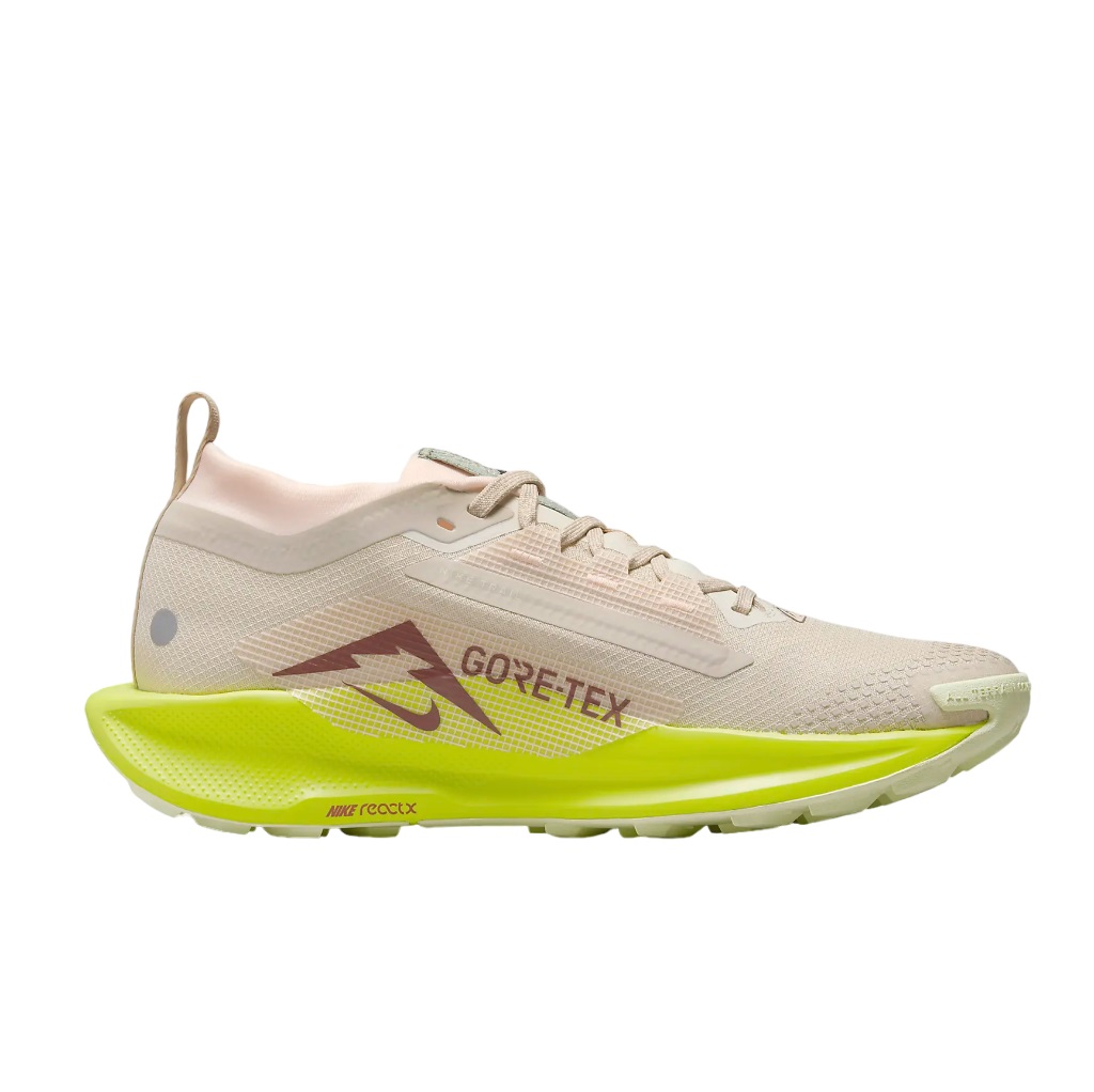 Pantofi alergare trail dama Nike Pegasus Trail 5 GORE-TEX FW 2024