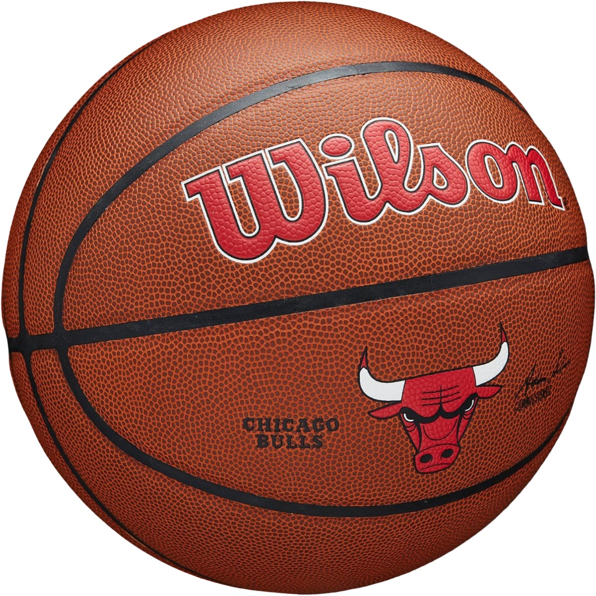 Minge baschet NBA Team Alliance Chicago Bulls